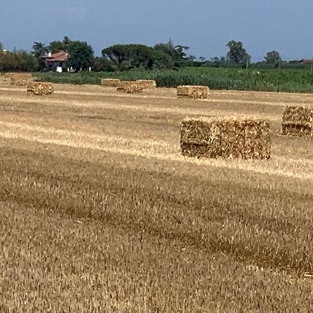 Agriturismo Ca' Alleata Caorle Bagian luar foto