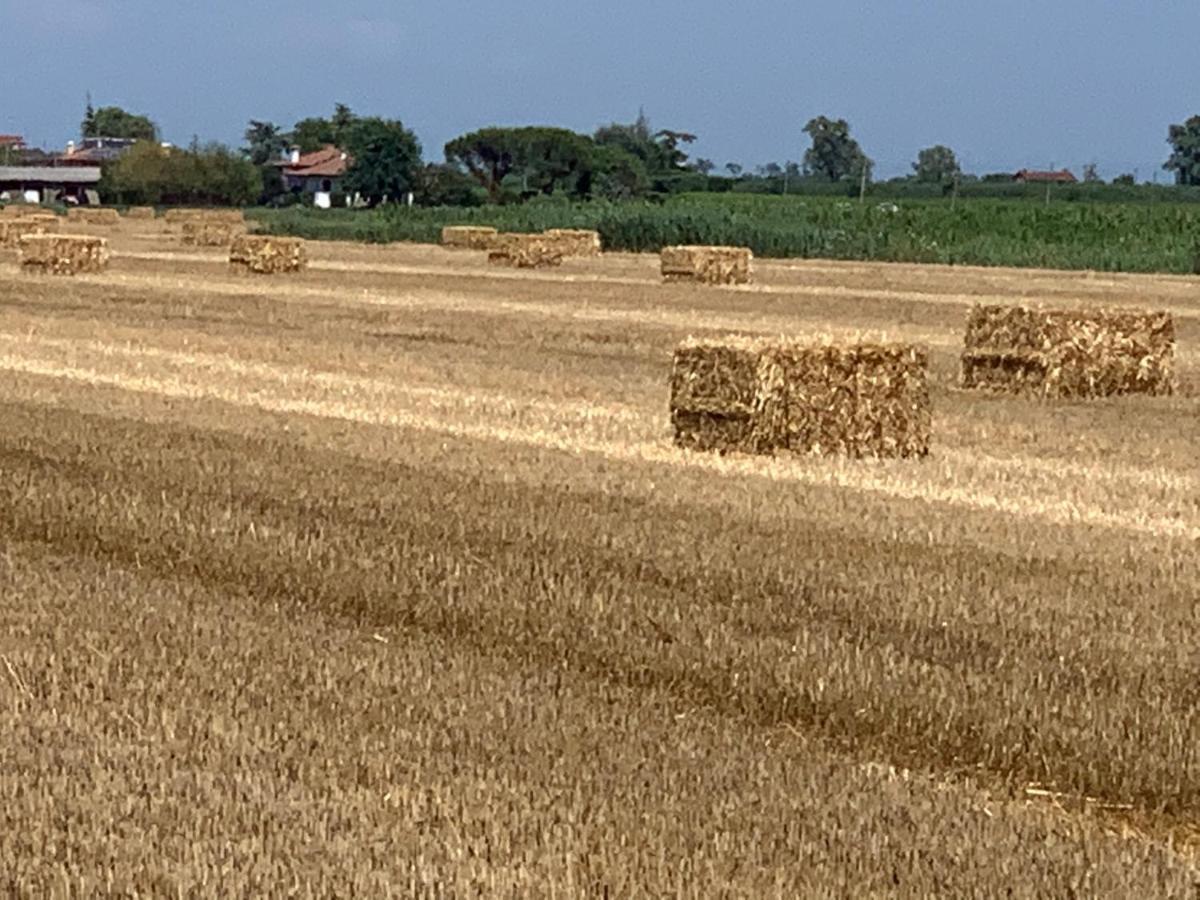 Agriturismo Ca' Alleata Caorle Bagian luar foto