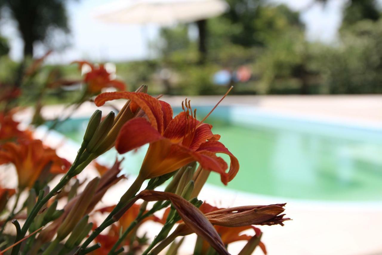 Agriturismo Ca' Alleata Caorle Bagian luar foto