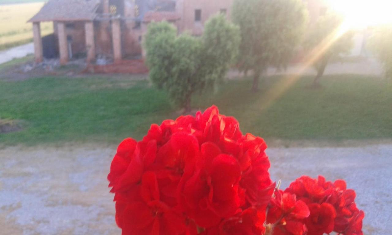 Agriturismo Ca' Alleata Caorle Bagian luar foto
